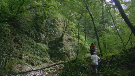 hikers in a lush forest path