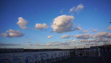 Group-of-Seagulls-flying-at-the-harbour