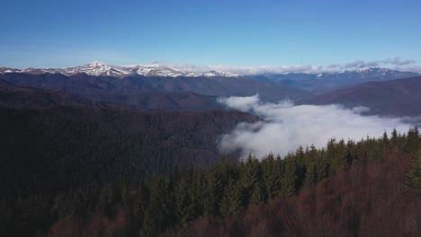 Wildnislandschaft-Mit-Bewaldeten-Hügeln-Und-Einem-Schneebedeckten-Bergrücken-Im-Hintergrund