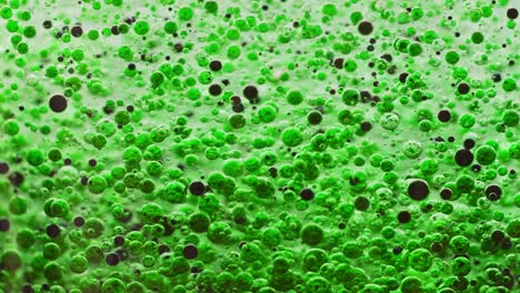 macro shot of many green and dark bubbles slowly falling to ground in water