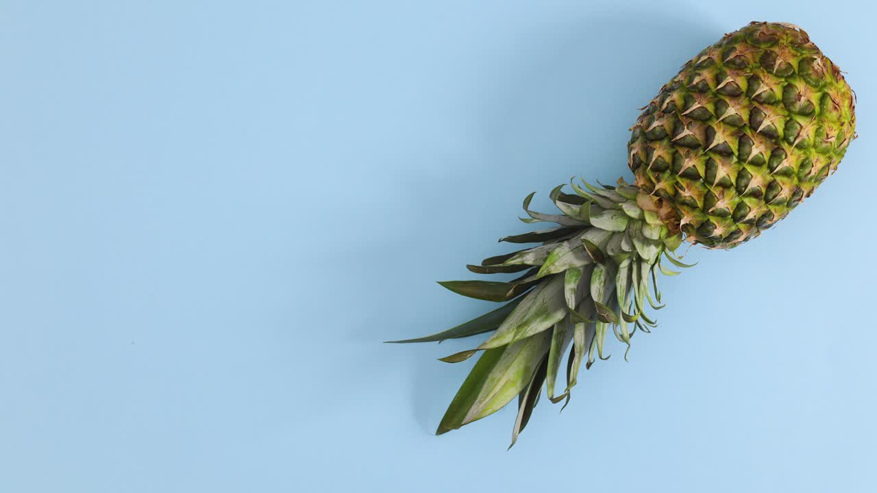 Pineapple spin in place on blue theme. Stop motion