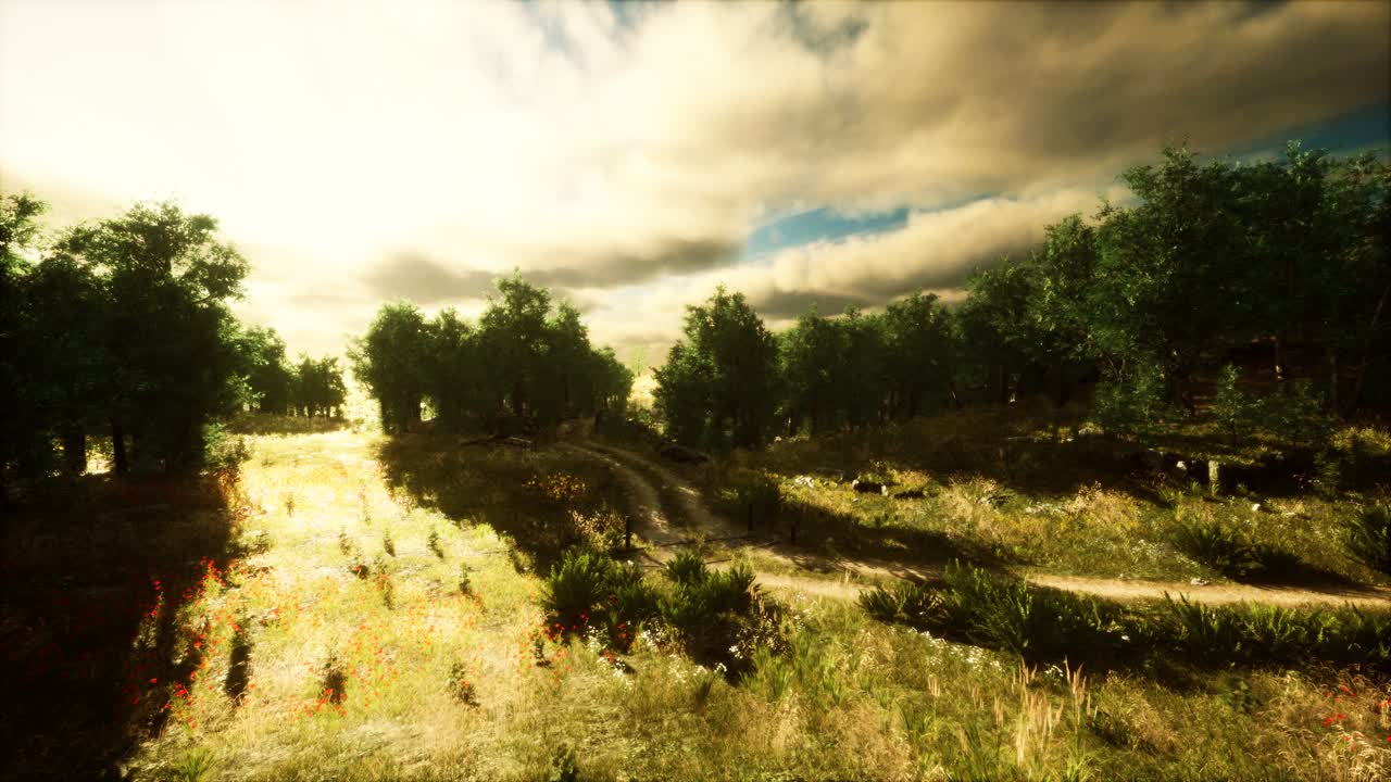 nubes de lluvia pesadas sobre el campo al atardecer