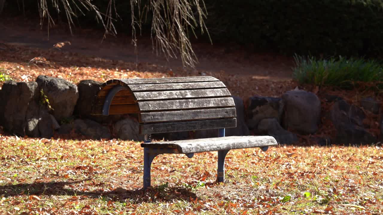 A Wooden Bench at a Local Japanese Park on a Sunny Day