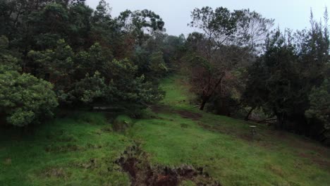 Polipoli-State-Recreational-Park-in-Maui,-Hawaii