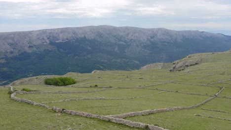 hermosos campos amurallados de piedra en la ladera de la montaña europea, vista aérea