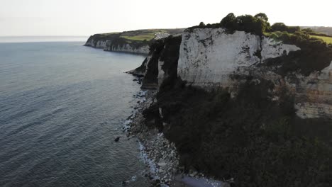 acantilados de tiza en la costa de seaton junto al canal inglés