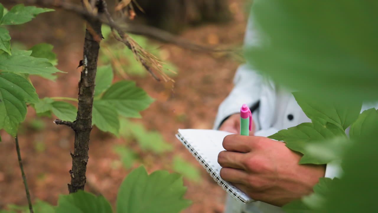 Hand view of researcher writing notes on jotter with pen in forest, documenting natural observations among green leaves and branches during ecological study and scientific exploration outdoors