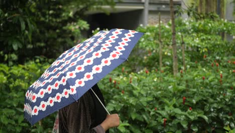 mujeres bajo el paraguas en la lluvia ,