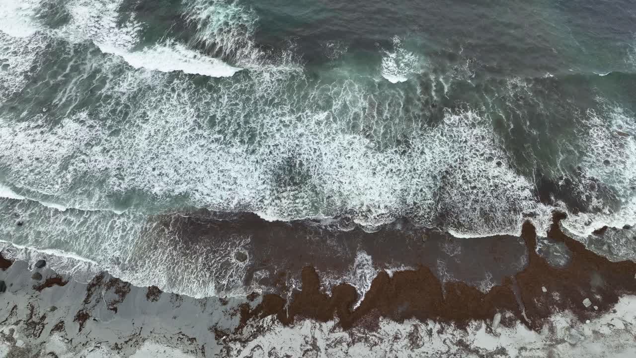 Onde che si infrangono su una fredda spiaggia nordica con sabbia e alghe marine - Ripresa aerea a volo d'uccello che si sposta lentamente a sinistra sopra la spiaggia e il mare