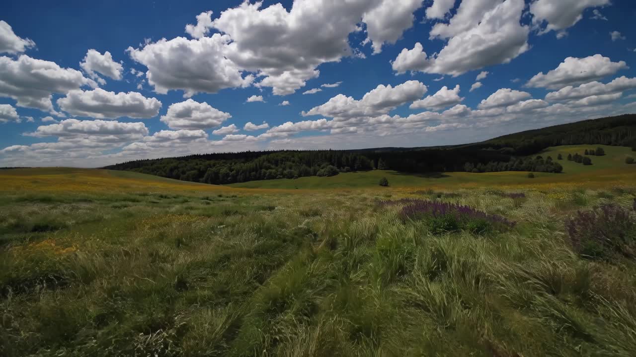 Wide-angle video capturing a vast, lush landscape under a sky filled with fluffy clouds