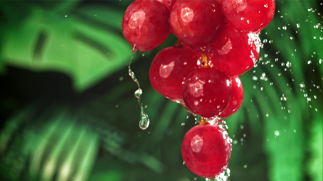 Agua salpicando uvas rojas frescas a cámara lenta
