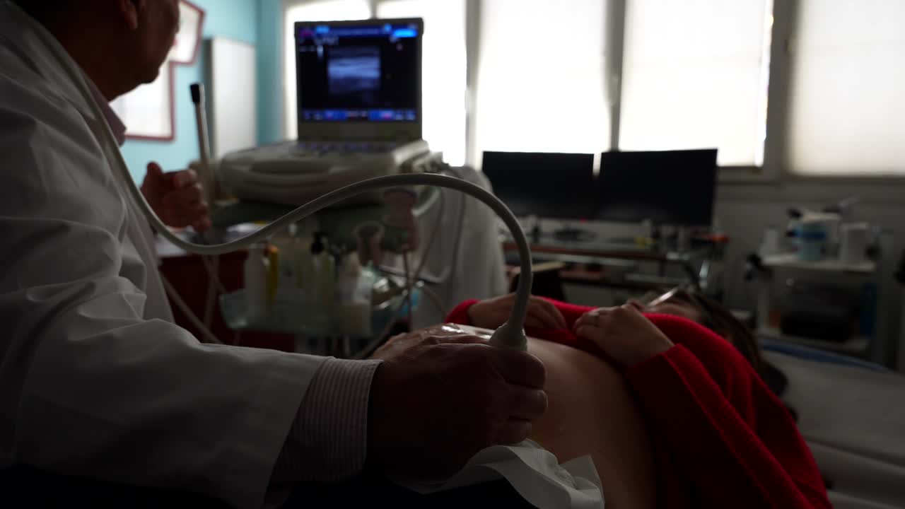 Gynecologist explaining baby's ultrasound scan to pregnant patient