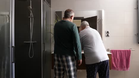 rear view of an adult homosexual couple cleaning face and teeth at home