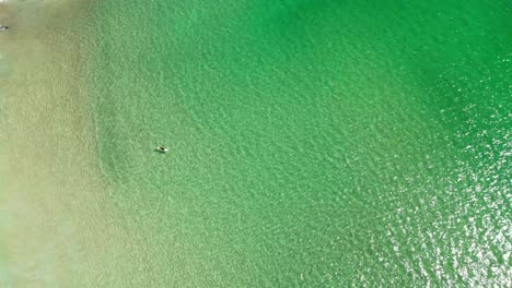 a relaxed surfer floats near a quiet coastline. green ocean meets sandy beach and scattered rocks in this peaceful overhead coastal view.