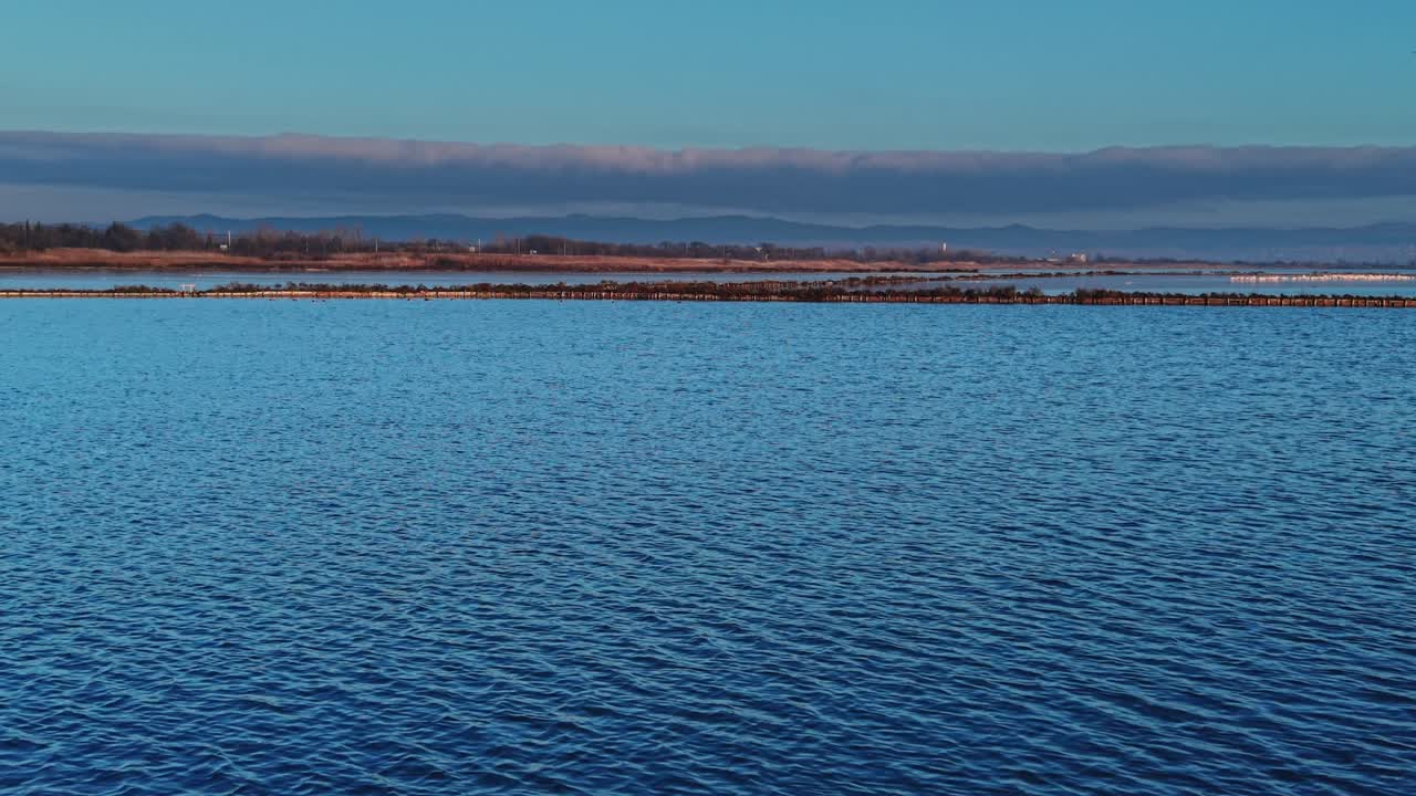 Flamingos wade in shallow waters at sunset near the coast with mountains
