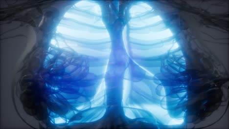 human lungs radiology exam