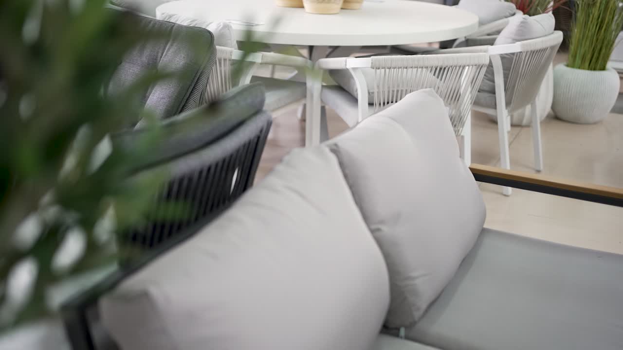 A beetle crawls on a green plant branch next to a light gray sofa in a contemporary indoor space filled with natural light. The setting feels fresh and calm