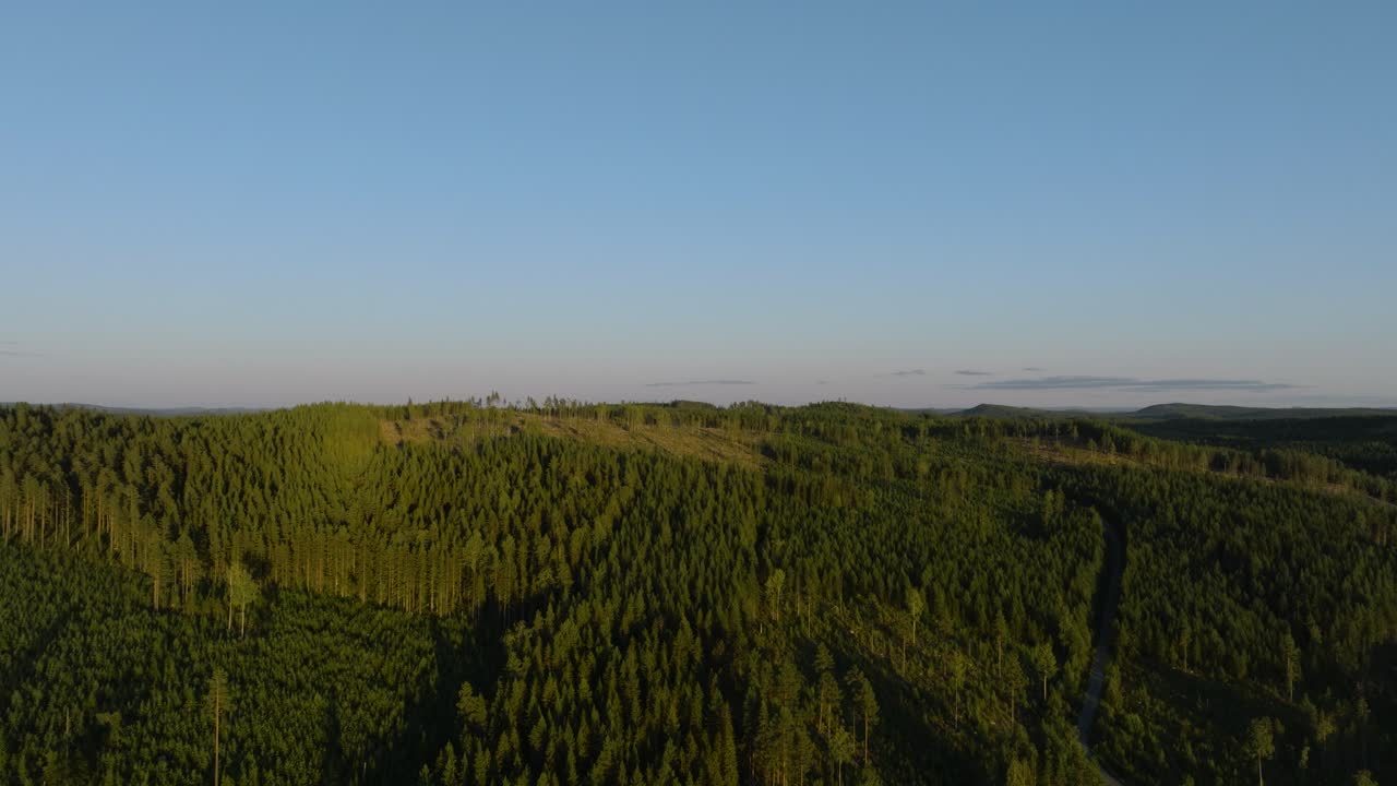 Drone ascend over forest and blue sky in Hälsingland Sweden