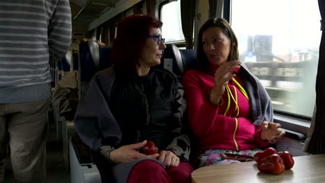 women talking while sitting on the train. the man is going to the train tambour