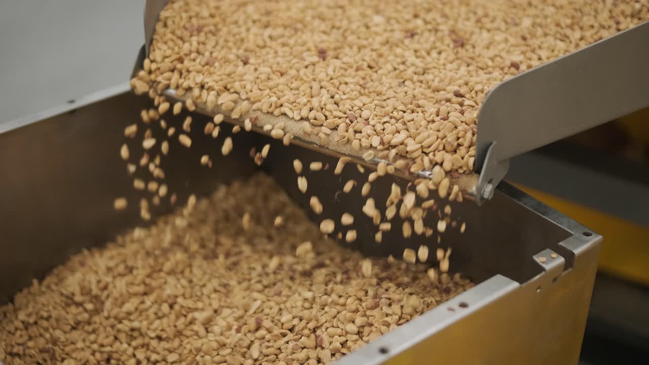 nueces crudas en una cinta transportadora. secado, tostado y envasado, el proceso de producción de bocadillos ligeros. producción de fábrica.