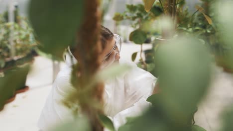 close-up portrait of a female scientist inspecting a lemon fruit in a greenhouse