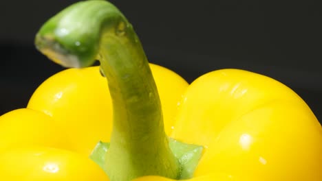 yellow pepper rotates on a black background. macro video