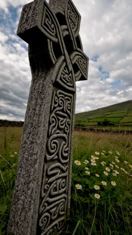 ancient celtic cross in a green field with daisies