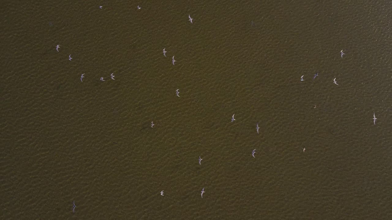 Aerial drone shot of Dhanushkodi, highlighting the ruins and the expansive ocean views.