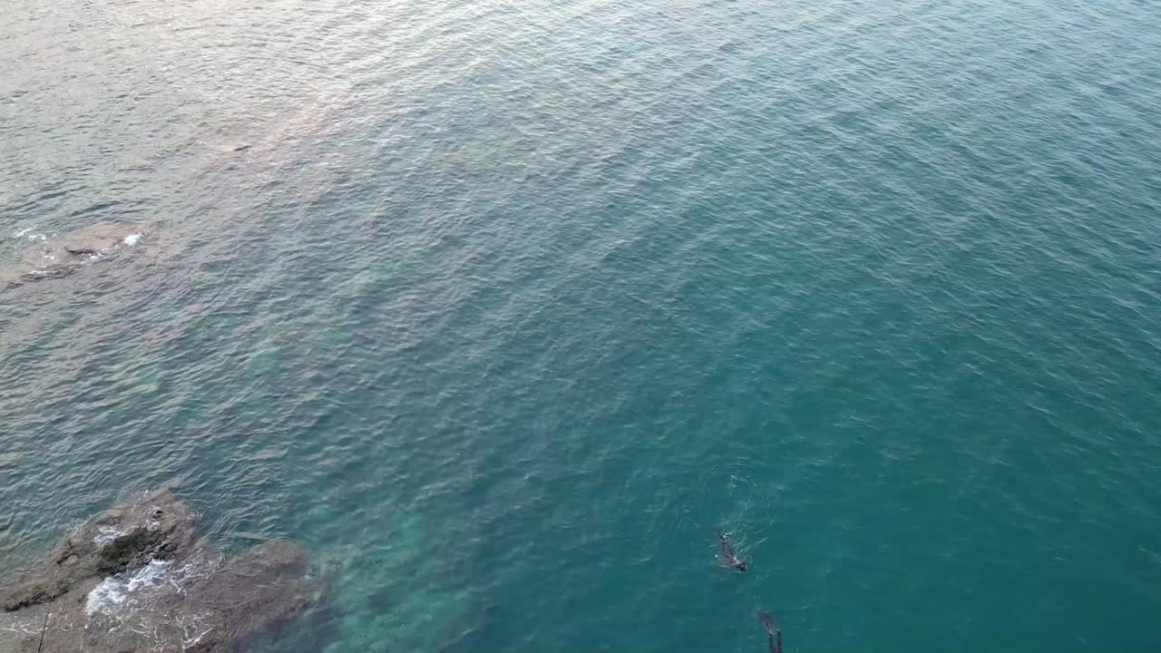 Aerial view of two divers plunge into the sea's depths