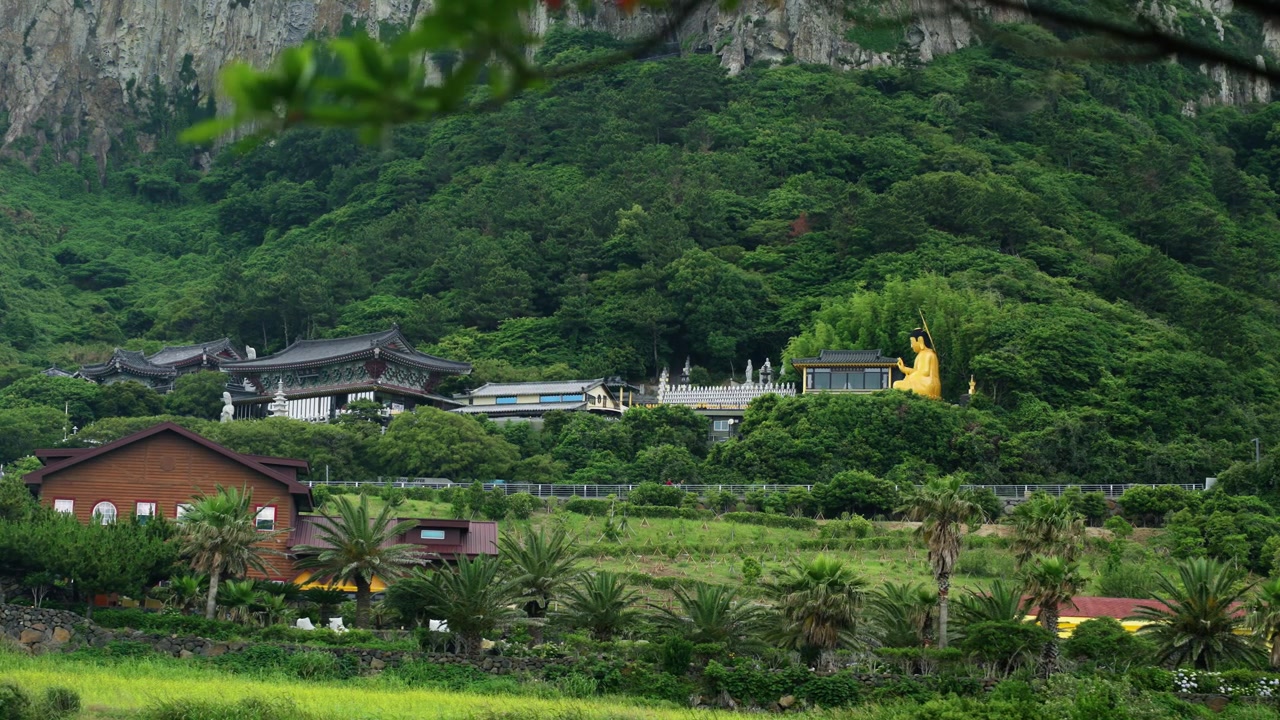 Bomunsa Tempel aan de Sanbangsan berg op Jeju Eiland met een gouden Boeddhabeeld, omlijst door boomtakken en weelderig groen