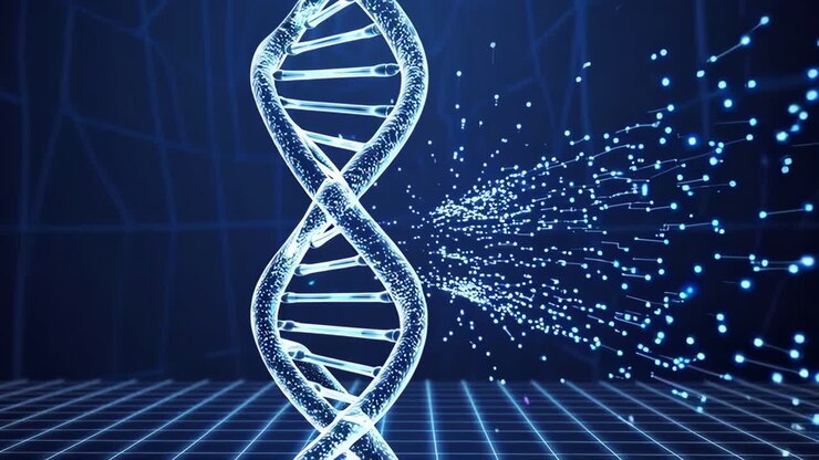 DNA Fragmentation