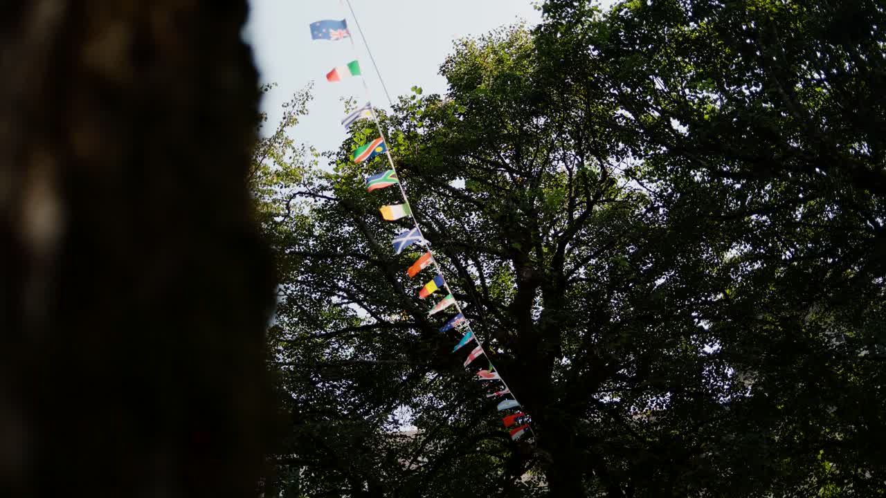 Colorful international flags hanging between tall green trees on a sunny day