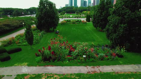 lawn mowing worker aerial in chicago grant park downtown