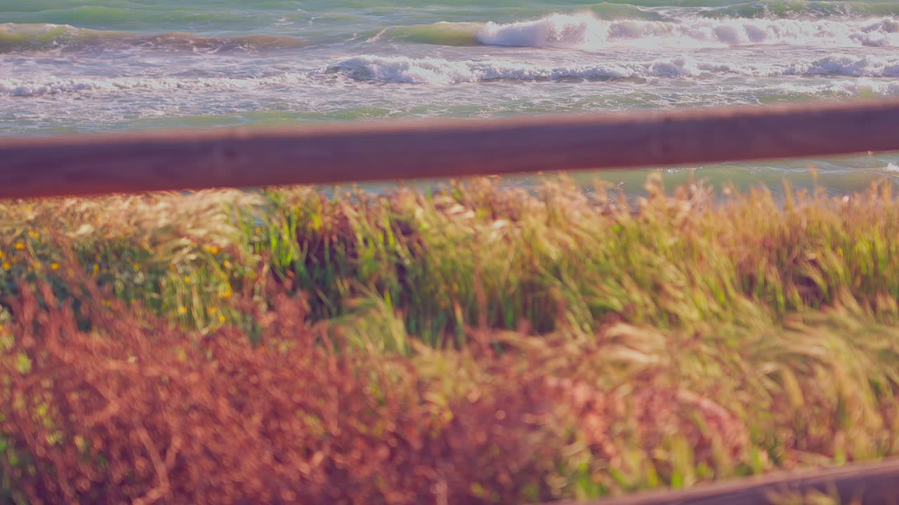 슬로우 모션으로 바람 부는 날에 배경 파도