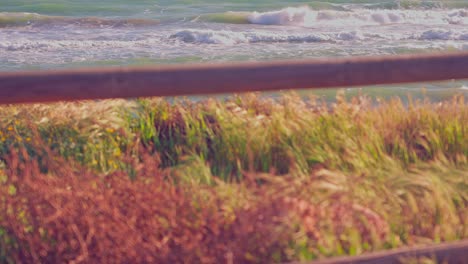 background waves on a windy day in slow motion