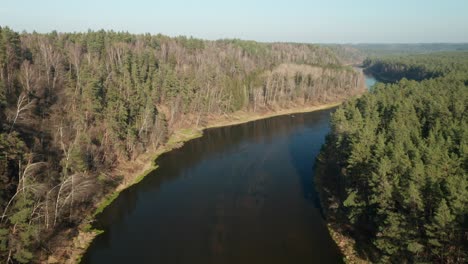 AERIAL:-Flying-In-River-Creek-with-Majestic-Forest-On-Both-Shores