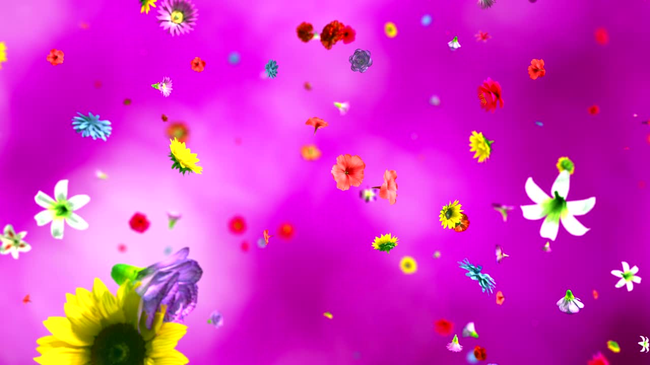 explotando flores coloridas en 4k