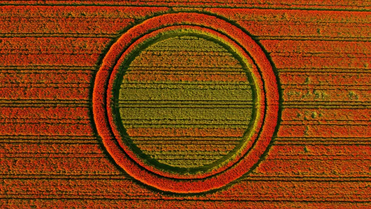 Aerial View of a Vibrant Crop Circle Design Surrounded by Colorful Fields, Showcasing Intricate Patterns and Natural Beauty in a Harmonious Landscape