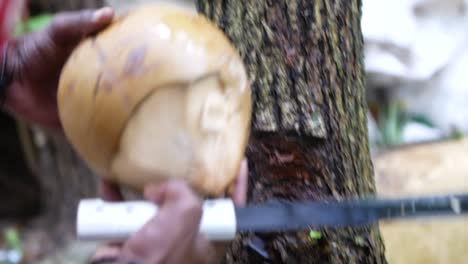 a close up video of a coconut beeing cut by a local in the carribean