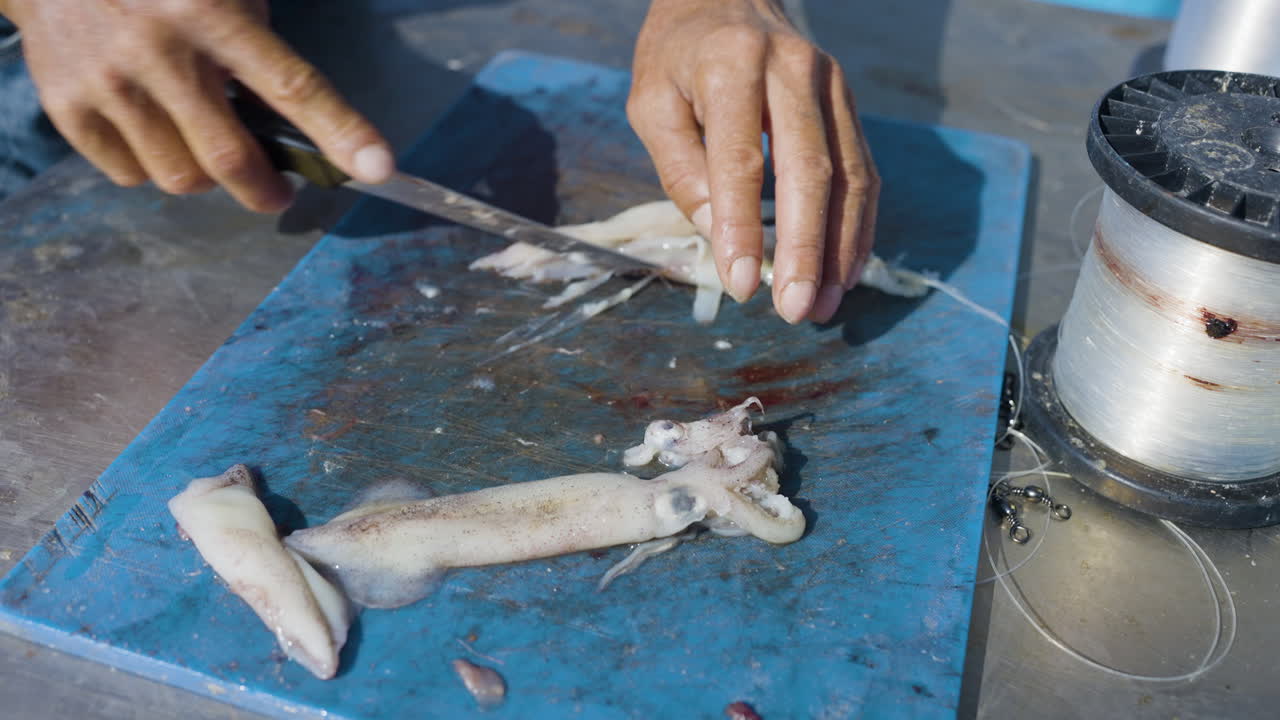 Preparing Squid for Cooking