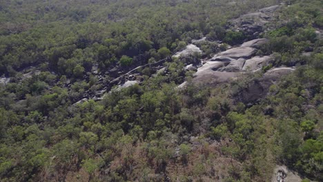 eucalyptus forest surrounding huge boulders of granite gorge nature park in mareeba, australia