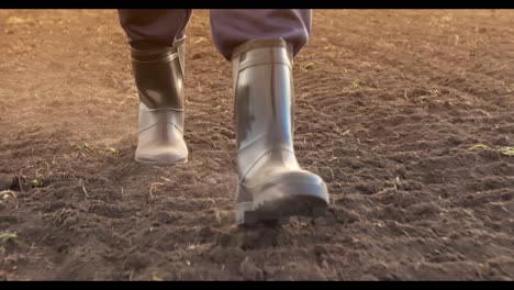 farmer walking in a field