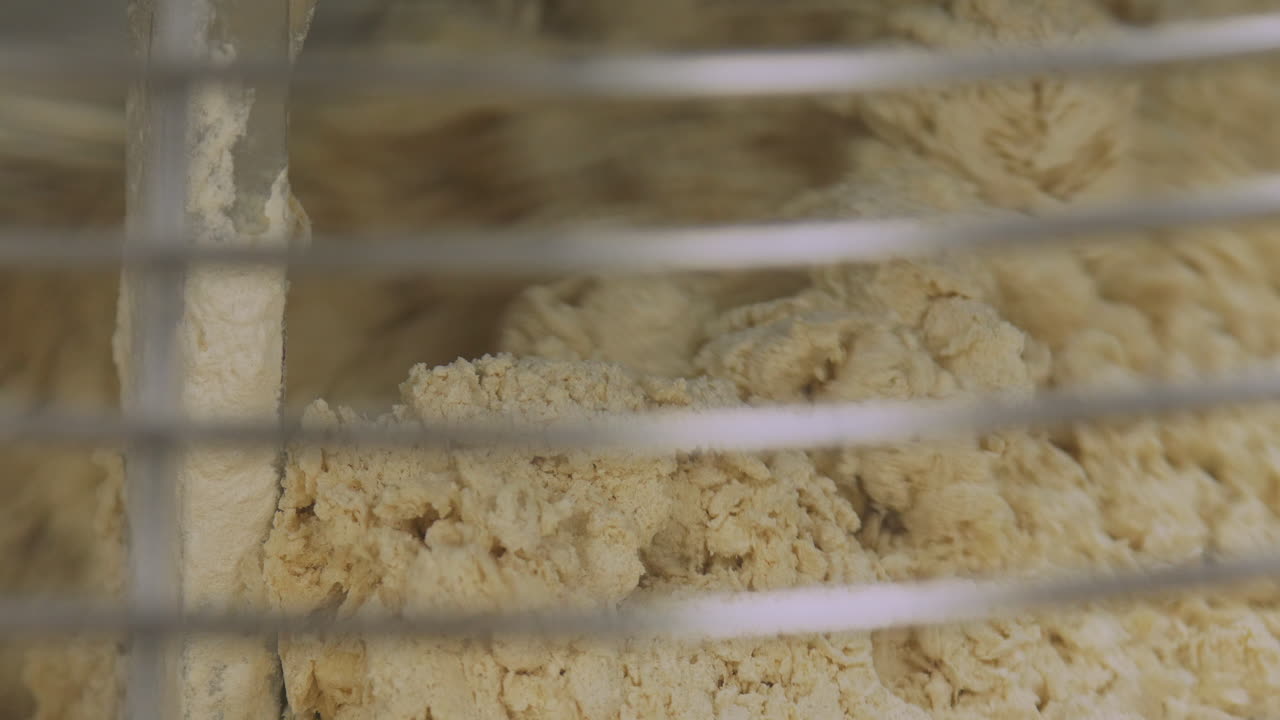 산업 식품 생산