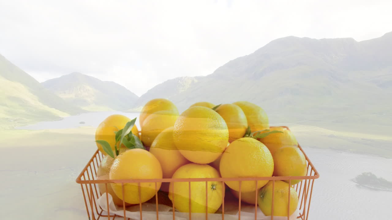 Basket of oranges placed in front of scenic mountain and lake landscape