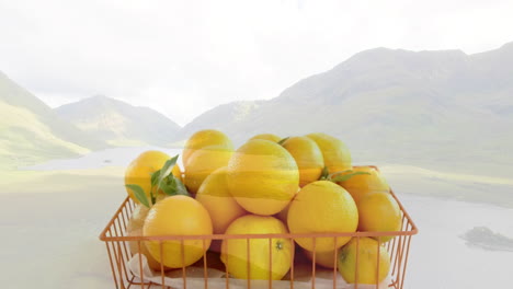basket of oranges placed in front of scenic mountain and lake landscape