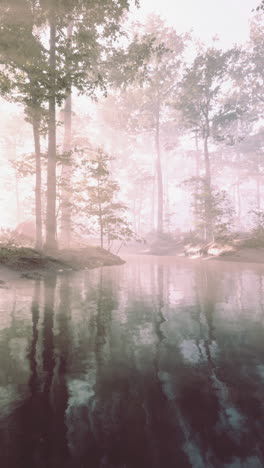 bosque de niebla con un río sereno