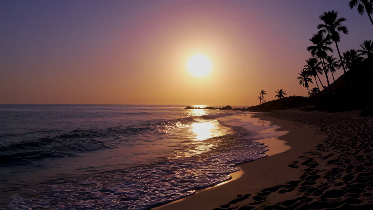Golden Sunset Over a Tropical Beach with Palm Trees