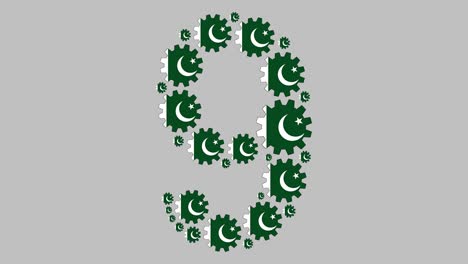 pakistani number nine