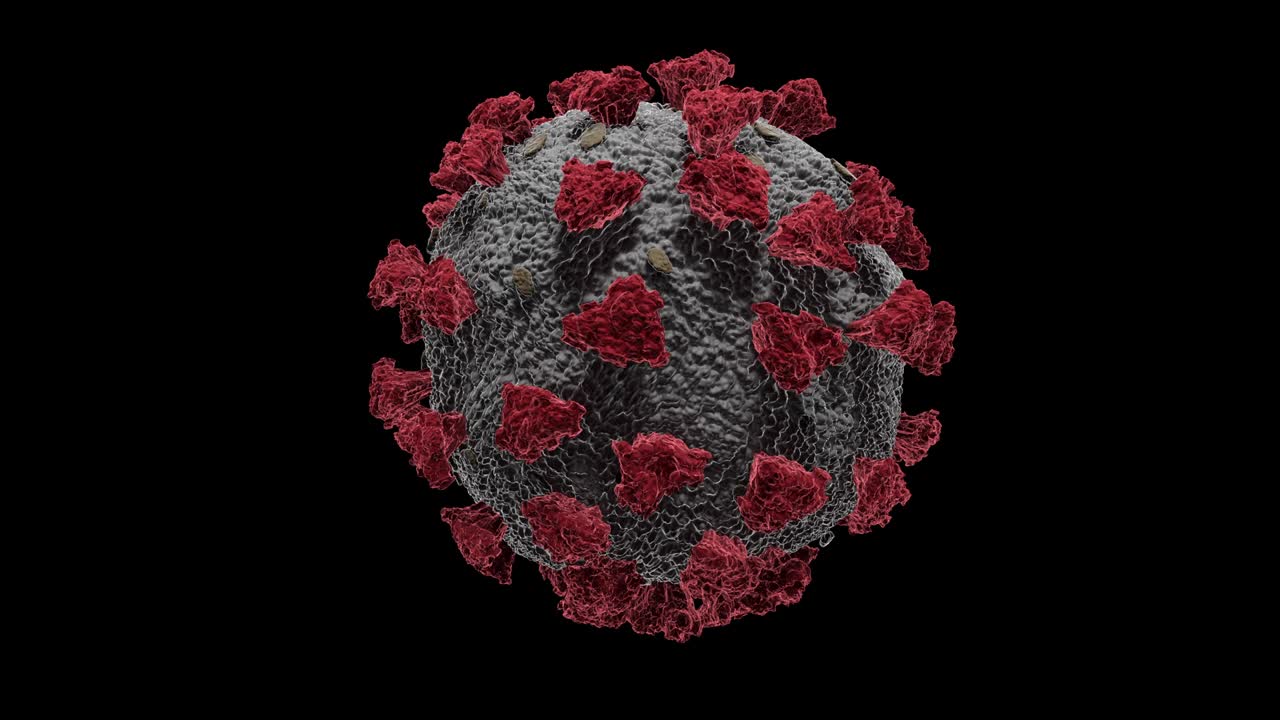 клетка коронавируса в черном фоне