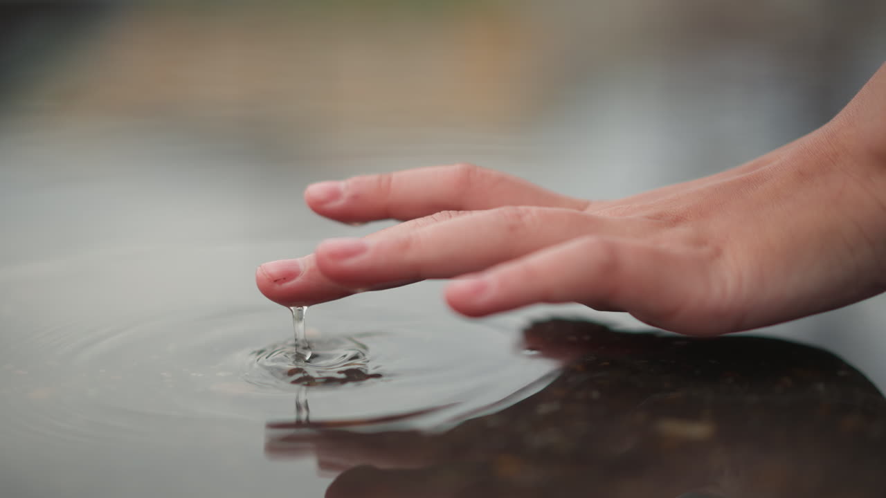 Un giovane crea onde nell'acqua. Un bambino disturba dolcemente l'acqua tranquilla. Un adolescente crea dolcemente leggere increspature sulla superficie dell'acqua immobile. Mani giovani creano delicate increspature sulla superficie serena dell'acqua oggi.
